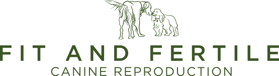 Fit & Fertile